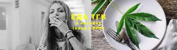крисы Аркадак