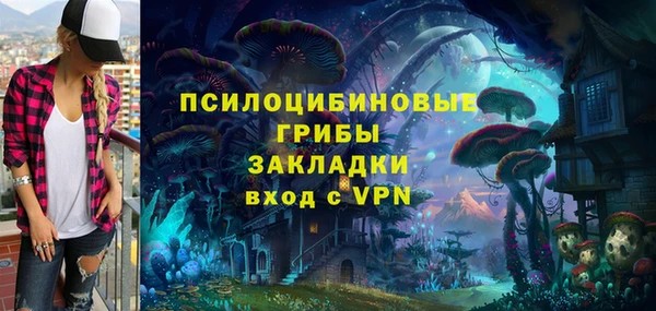 бошки Арсеньев