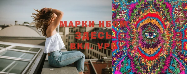 крисы Аркадак