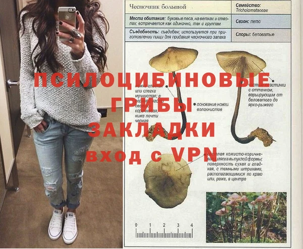 бошки Арсеньев